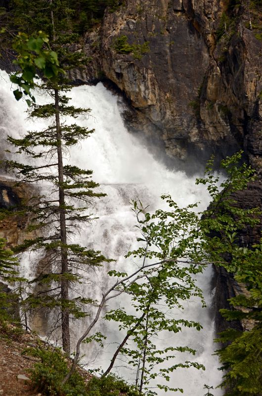 10 Upper Part Of White Falls From Berg Trail At Mount Robson